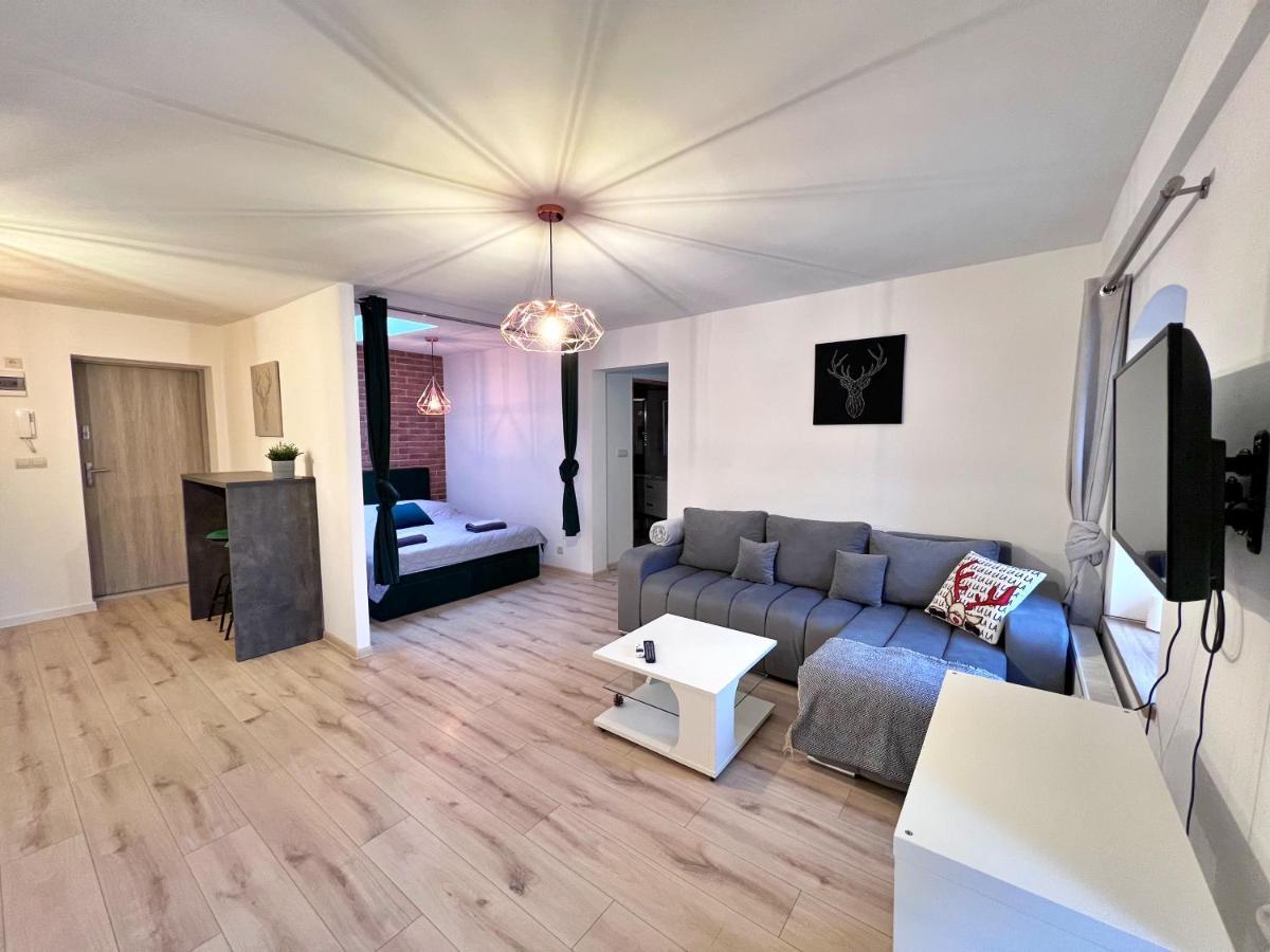 Apartament W Samym Centrum Jeleniej Gory Jelenia Góra Extérieur photo