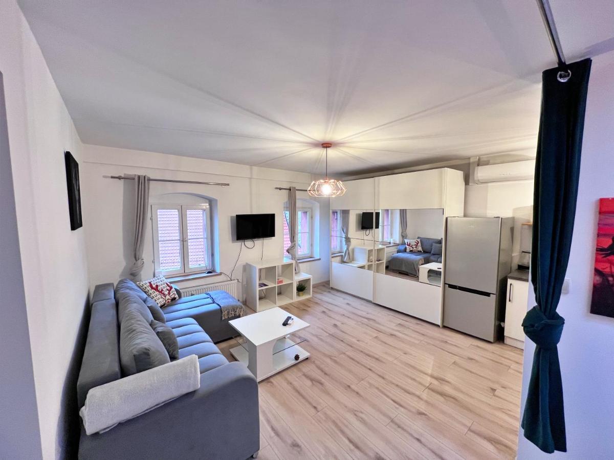Apartament W Samym Centrum Jeleniej Gory Jelenia Góra Extérieur photo